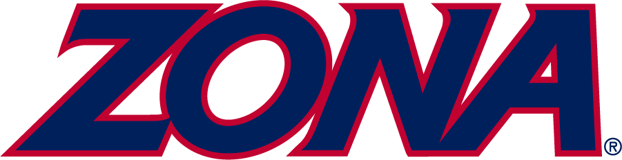 Arizona Wildcats 2001-2007 Wordmark Logo diy iron on heat transfer